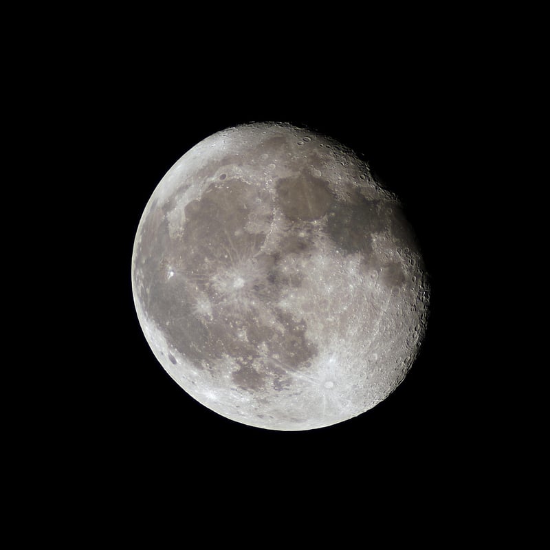 Lunar Cruises